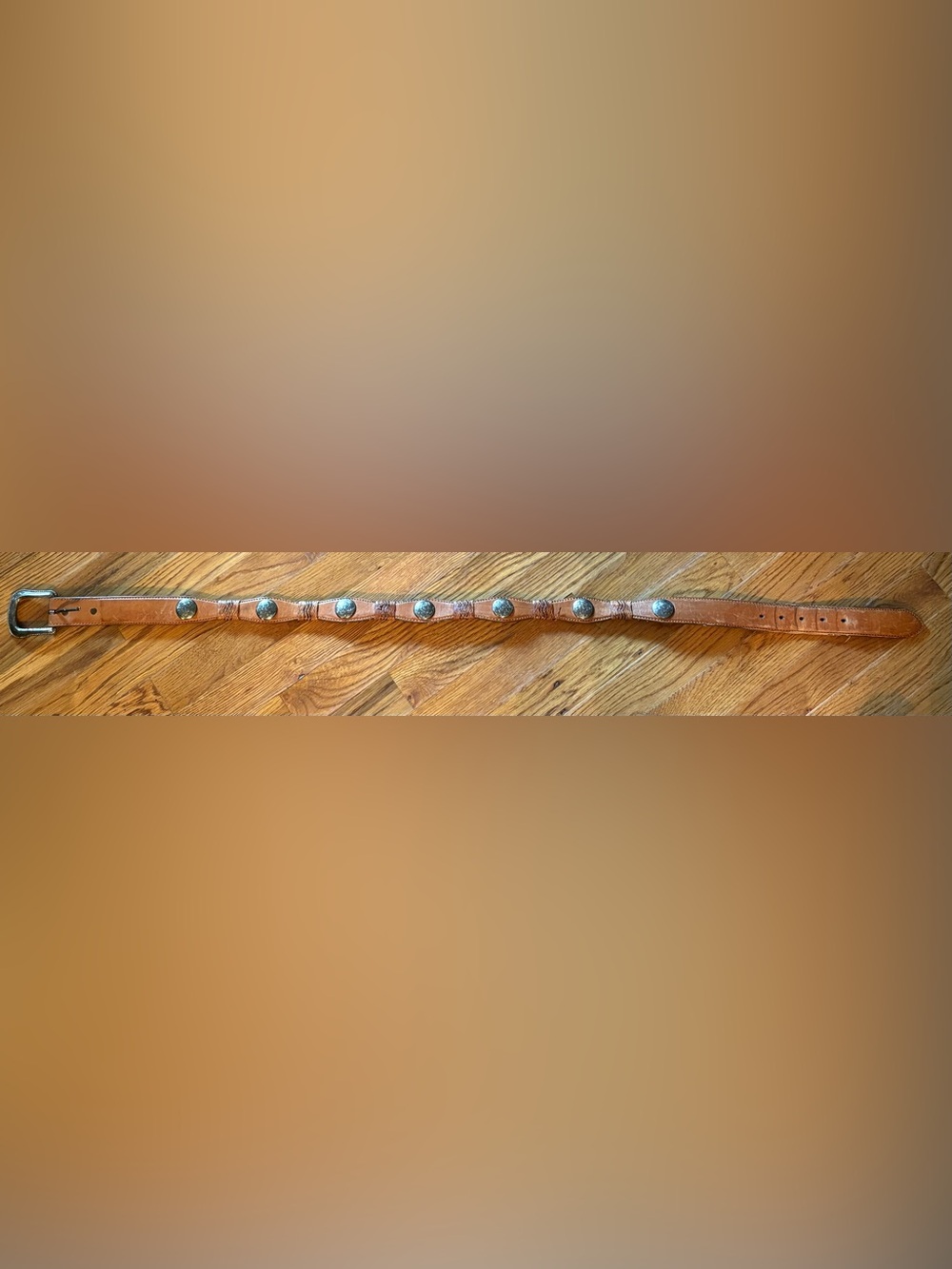 Justin Western Leather Women’s Belt w/Conchos, Size 38